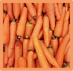 Carrots