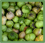 Tomatillos