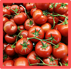 Tomatoes